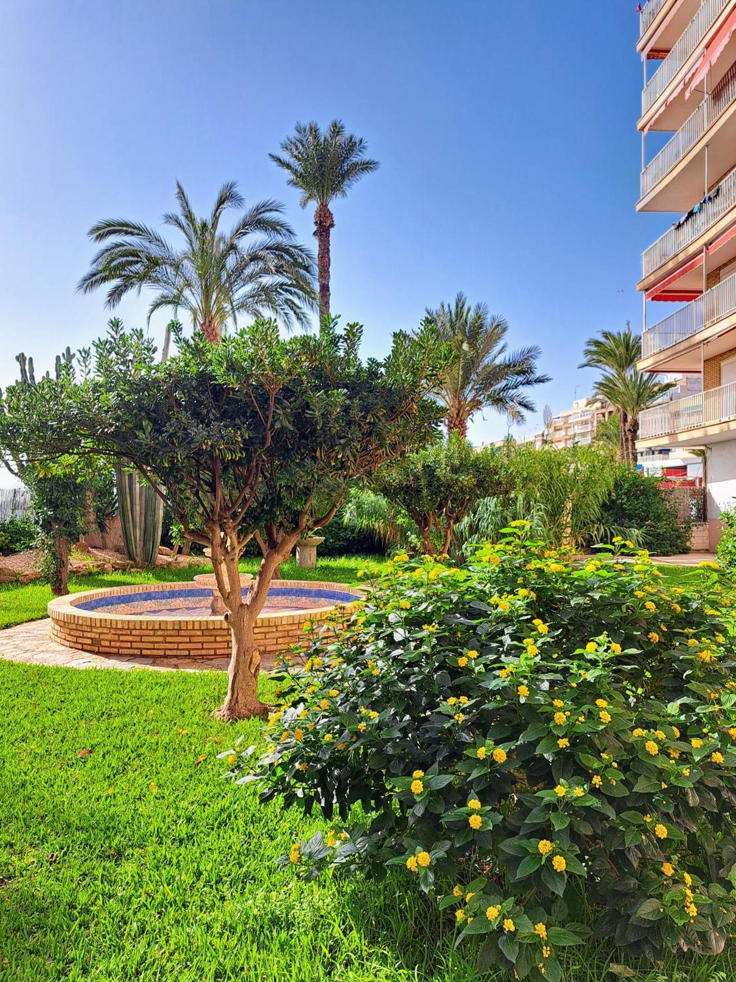 Garden Beach Apartment トレビエハ エクステリア 写真